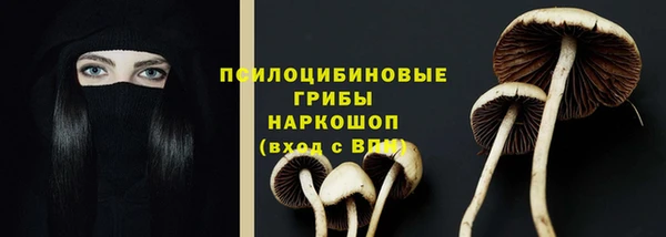 jwh Новодвинск