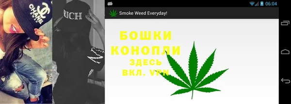 первитин Новозыбков