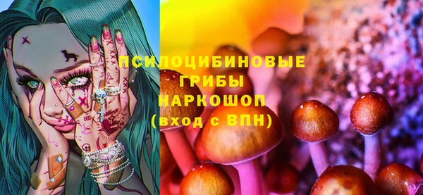первитин Новозыбков