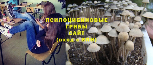 jwh Новодвинск