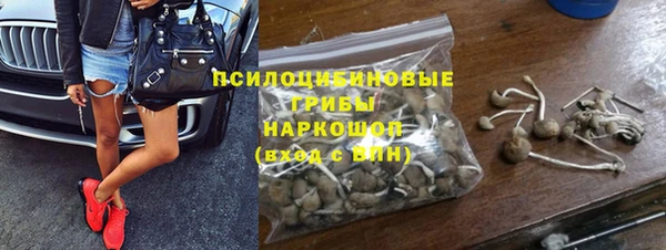 первитин Новозыбков