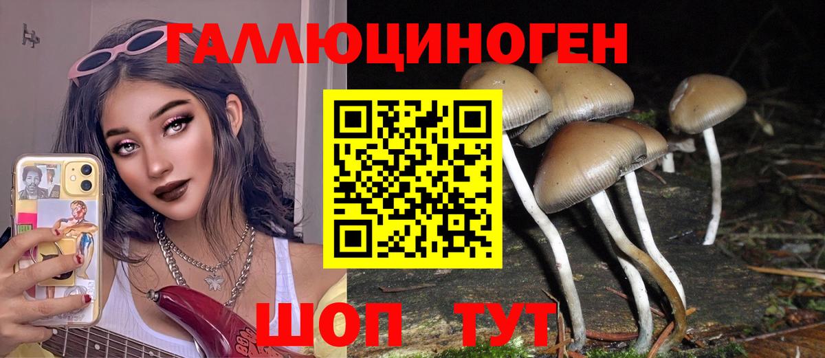 Галлюциногенные грибы ЛСД  где можно купить наркотик  Ярцево  Вход с VPN  Псилоцибиновые грибы Psilocybe 